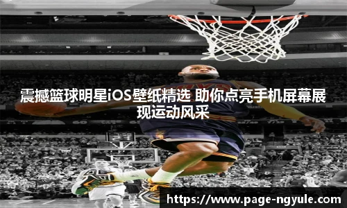 NG娱乐网址