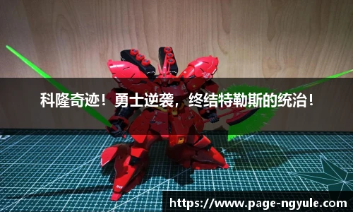 NG娱乐