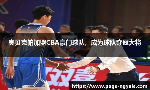 NG娱乐平台