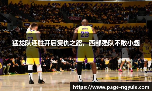 NG娱乐官网
