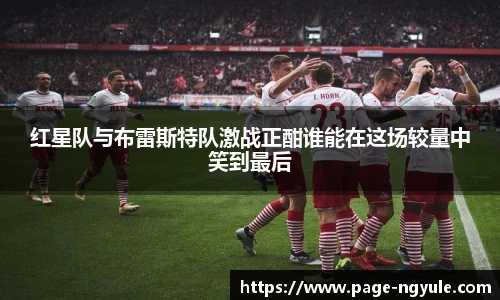 NG娱乐