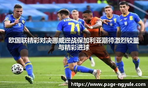 NG娱乐